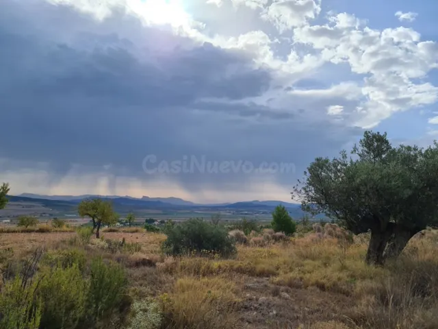 Parcela en Pinoso - foto 4