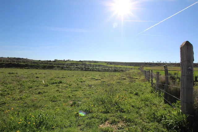 Terreno rural en venta - Aragon - foto 5