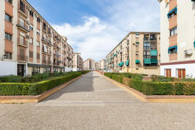 Alquiler de local del 200 metros en alcazar del genil — 23