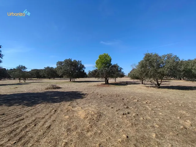 Parcela en tres arroyos totalmente vallada con pozo, portera de entrada y  2 acometidas de luz — 19