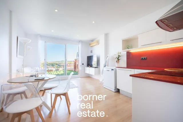 EXCLUSIVO ÁTICO CON LICENCIA TURÍSTICA, TERRAZA Y VISTAS PAN - foto 3