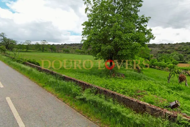 Terreno rural en venta - Castrelos e Carrazedo - foto 4