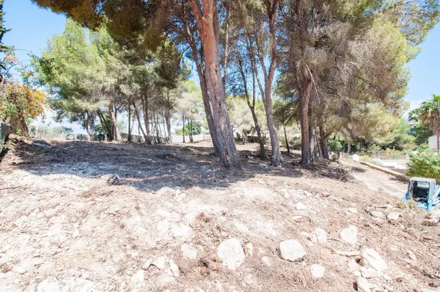Parcela en venta - Pla del mar — 7