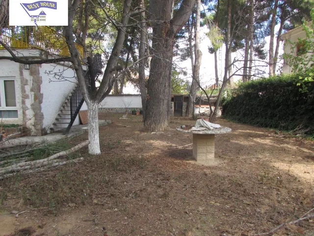CHALET CON 2000 M2 DE PARCELA — 36