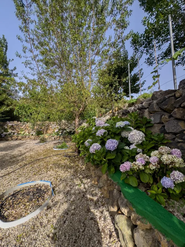 Finca rústica de 5.330 m2 con construcción de 94 m2 en La Florida — 25