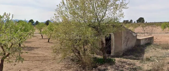 Parcela en venta - Ayuntamiento - foto 3