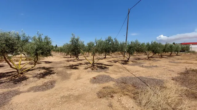 Tu Refugio Natural a un Paso de la Ciudad: ¡Transforma y Crea! — 35