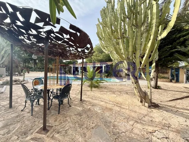 ✨ Una finca única para quienes buscan mucho más que una vivienda, en Alicante Tangel. — 36