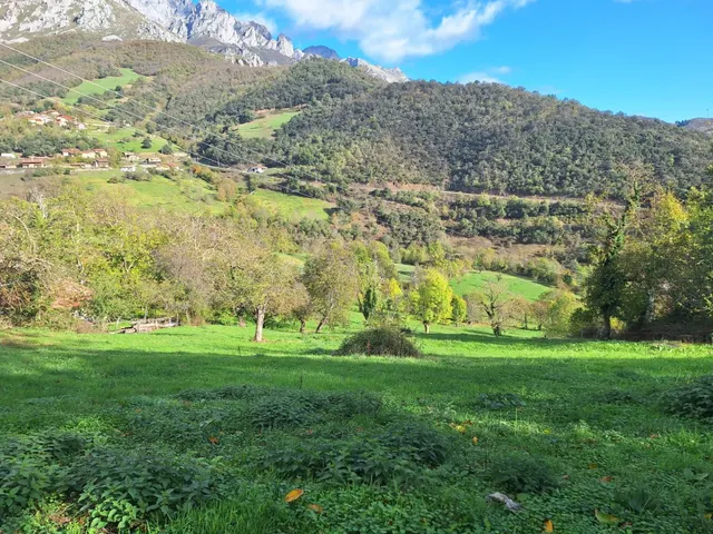 Terreno urbanizable en Picos de Europa - foto 4