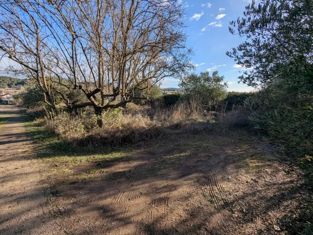 Finca rustica en Estella