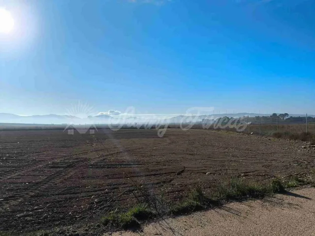 Casa de campo-Masía en Venta en Yecla Murcia — 30
