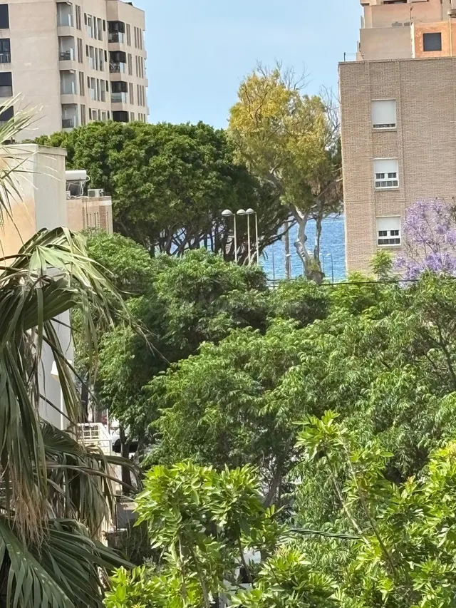 EXLCLUSIVA CASA PAREADA REFORMADA A SOLO 2 MINUTOS DE LA PLA - foto 2