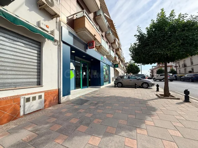 ¡Gran Oportunidad en el Centro de Láchar! Local comercial con muchas posibilidades (Ideal negocio o conversión a Loft de diseño) — 4