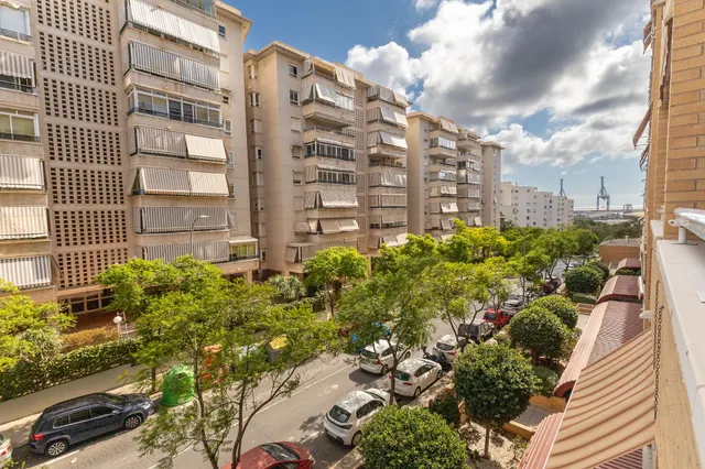 Vivienda amplia en Residencial Isla Tabarca — 25