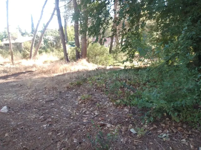 Tegeisa vende dos parcelas llanas, disponibles juntas o por  - foto 3