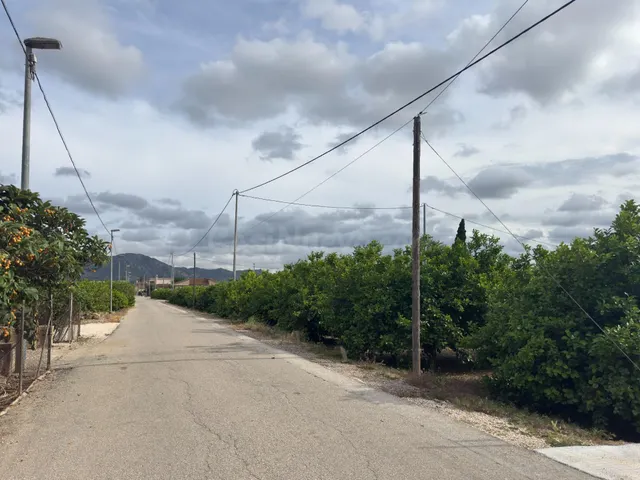 Se vende parcelica de huerto, plantado de limoneros en LLano - foto 3