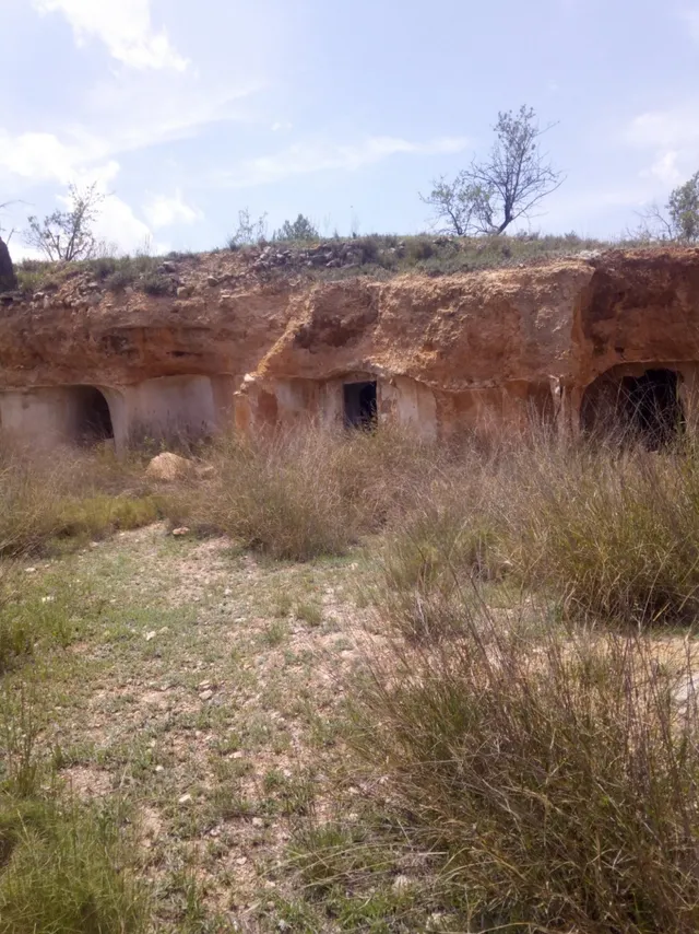 TERRENO EN MONOVAR — 2