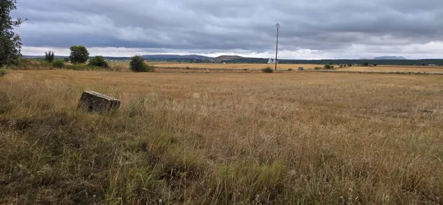 Parcela rústica de secano a pie de carretera entre Garray y  - foto 3