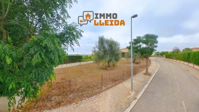 ¡Haz realidad la casa de tus sueños en Cervera! — 24