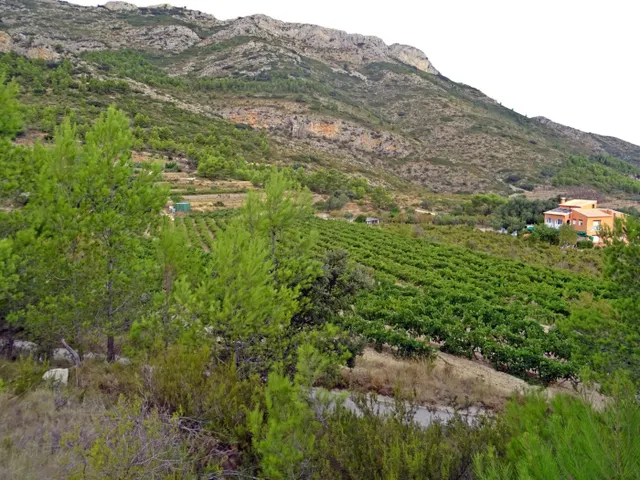 Bodega en venta en Jalon — 13