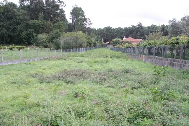 ¡¡¡¡TERRENO EDIFICABLE A 20 MIN DE VIGO, 5 MIN DE TUI Y 8 MIN DE TOMIÑO !!!!! — 8