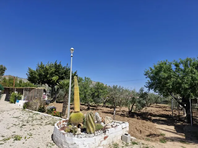CASA CON TERRENO EN HONDON DE LAS NIEVES — 26
