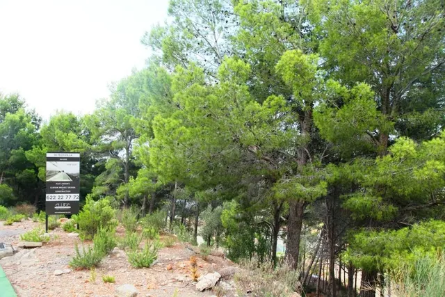 Parcela en venta - Casco Antiguo - foto 5
