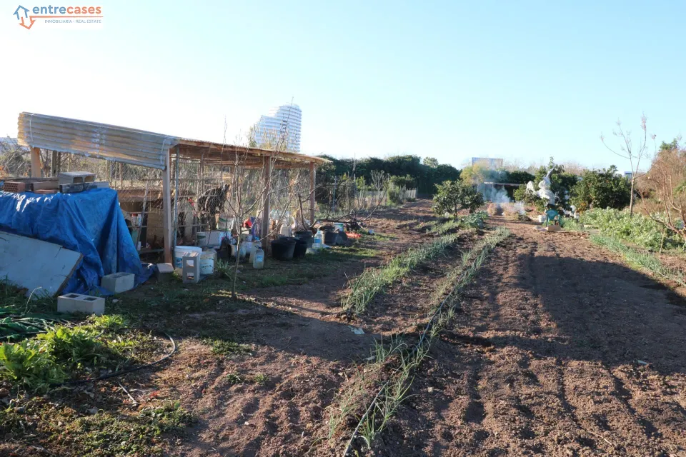 Conjunto de parcelas en Canet de Berenguer (zona gasolinera)