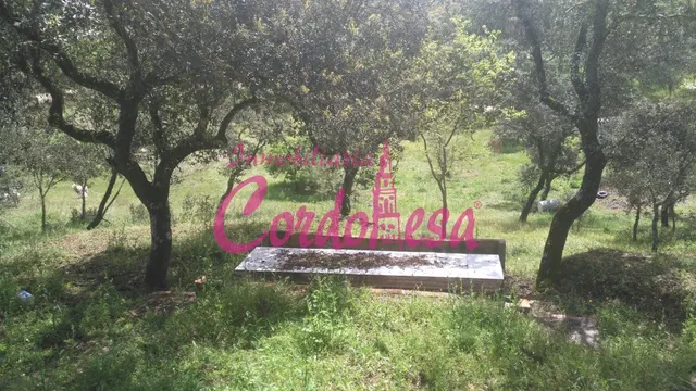 OPORTUNIDAD EN CERRO MURIANO — 11