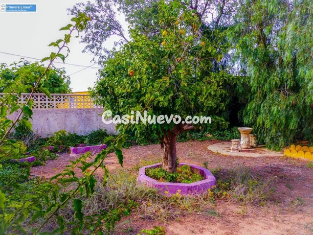 Venta de casa con 9 dormitorios y terreno de 11.000 m2 en el - foto 3