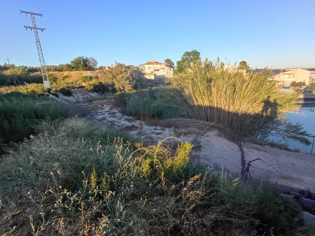 Terreno en la Algaida Archena — 28