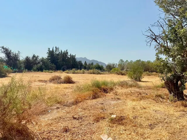 TERRENO RÚSTICO EN VENTA A TAN SOLO 10 MINUTOS DE ORIHUELA C - foto 4