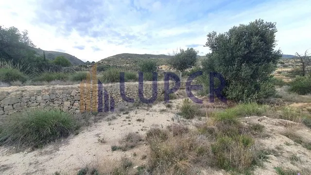 Terreno rústico en Aguas de Busot, Partida de la Carrasca.