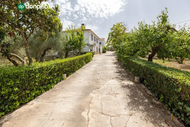 Finca en el término "Los LLanos " en Moraleda de Zafayona a 20 minutos de Granada Capital — 6