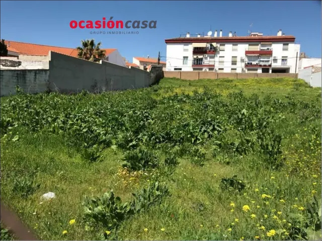 2 SOLARES DE 450 M2 CADA UNO A LA VENTA EN BELMEZ — 3