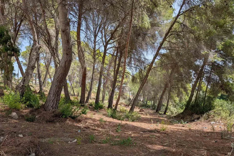 Parcela en venta - Pinar de Advocat-Cometa