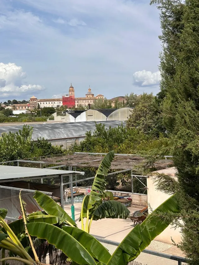 Venta Magnífico chalet en la Avenida de La Ñora — 33