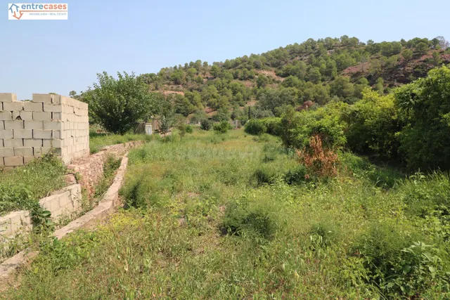 TERRENO DE 2 HANEGADAS ENTRE PETRES Y ALBALAT TARONGERS — 4