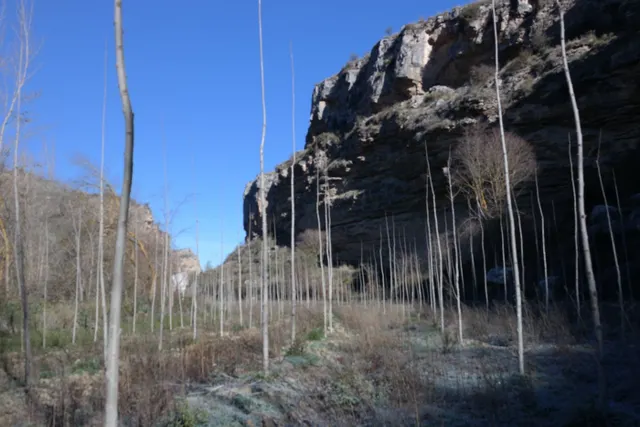 Los Tajos, monumento natural con casa y chiringuito. Finca en Alhama de Granada. — 4