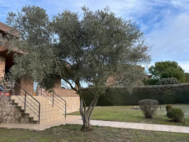 Villa 6 habitaciones 585m² en venta - Parque Boadilla — 35