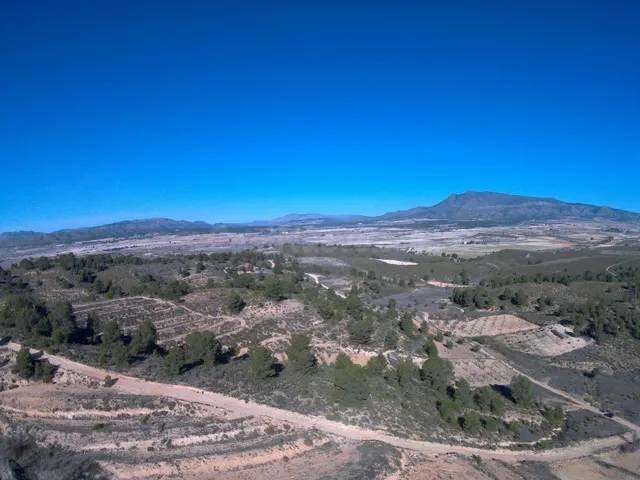 Parcela en venta - Jumilla - foto 4