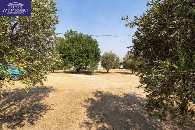 Encanto rústico con casita y olivos en Moraleja de Zafayona 🌿 — 41