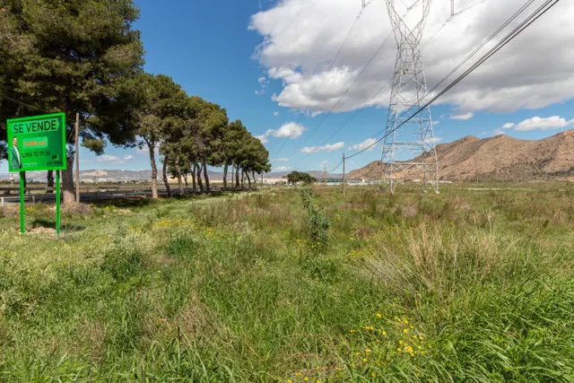 TERRENO DE 13.950 M2 EN ORIHUELA - ZONA POLÍGONO PUENTE ALTO — 2