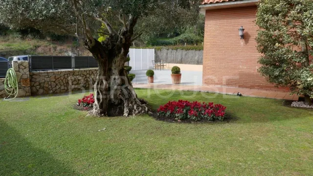 Magnifica casa unifamiliar - foto 4