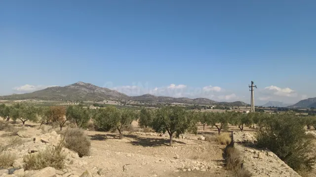 Terreno en Salinas para proyecto único - Comunidad Valenciana — 3
