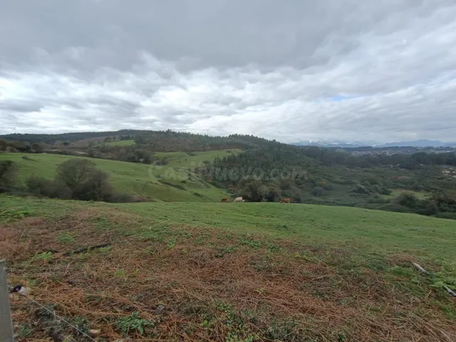 MÁS DE 5 Ha. DE NATURALEZA EN RUILOBA.- - foto 3