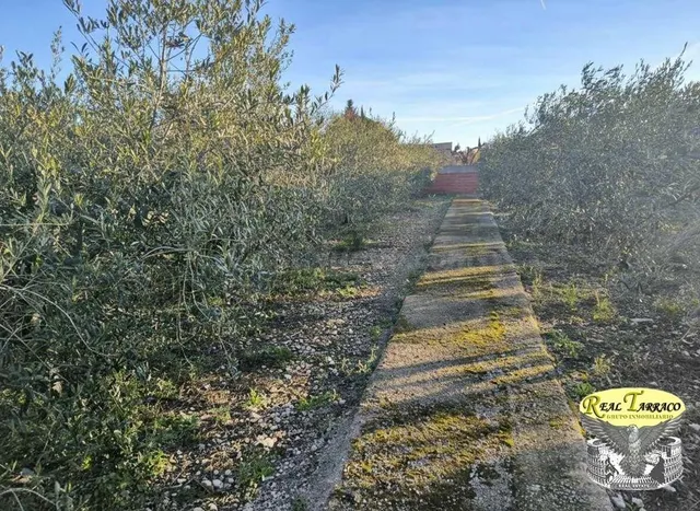 TERRENO URBANO EN VENTA EN URBANIZACIÓN SERRADALT - foto 5