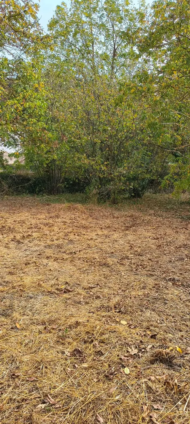 CASA DE PUEBLO PARA REFORMAR CON TERRENO CERCANO EN LARRAONA - foto 5