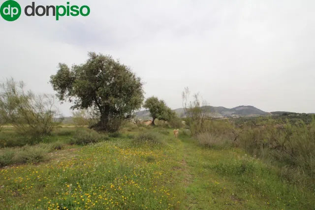 FINCA EN CORTIJO SAN JERÓNIMO (BARTODANO) — 29