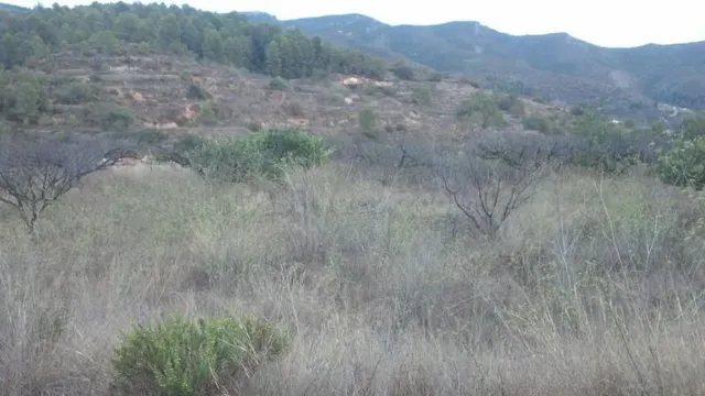 Parcela en venta - Centro - foto 4